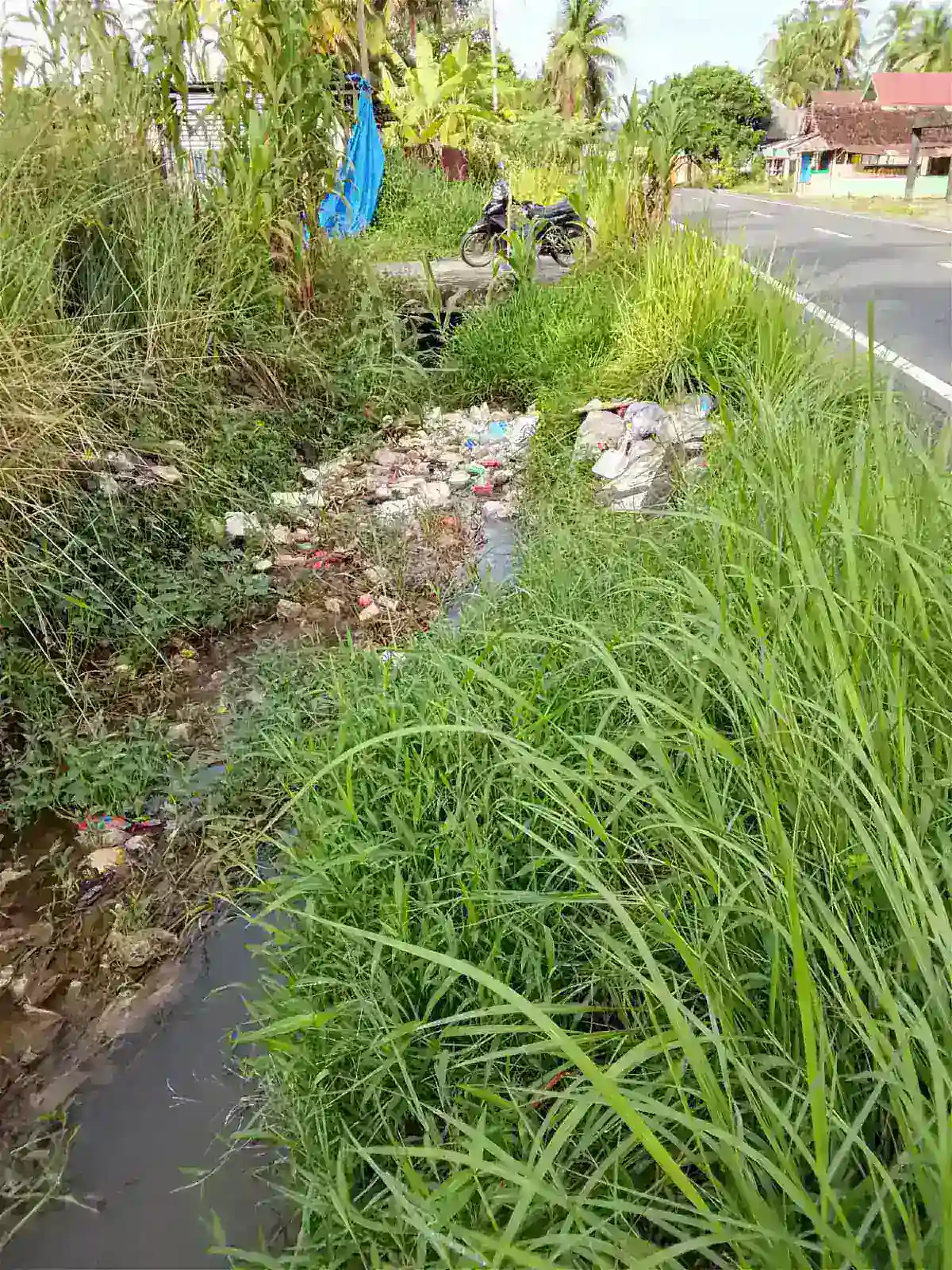 Akankah Darurat Sampah Ini Terus Berlanjut di Sepanjang Aliran Banda?